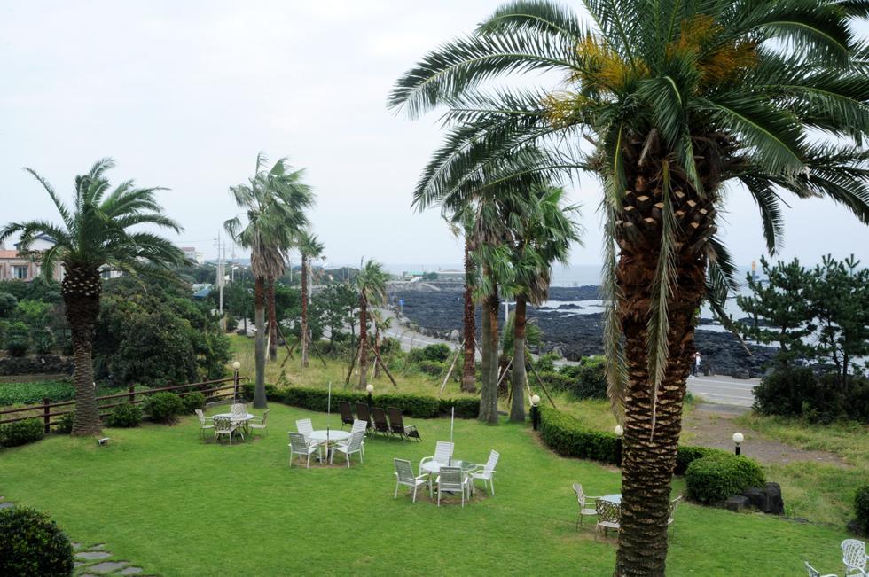 Cherry House Seogwipo Luaran gambar